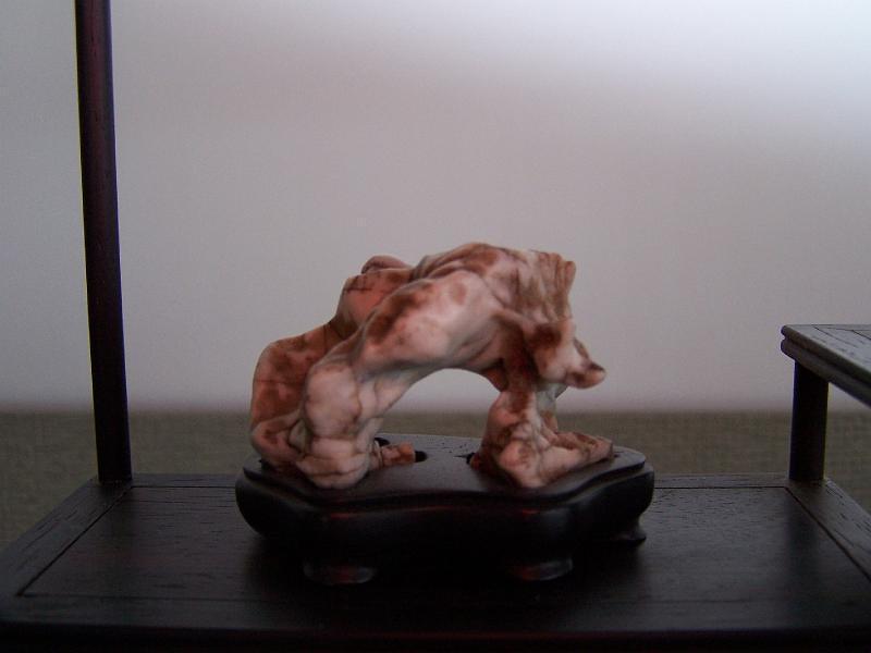 nieuwe foto's 200 123.jpg